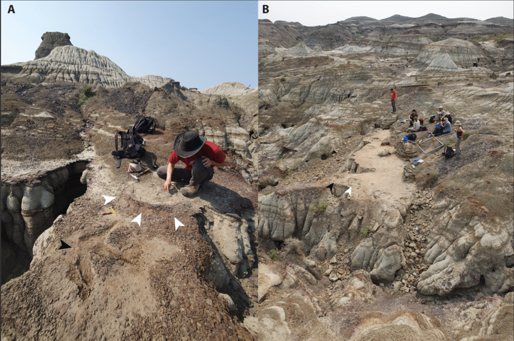 Views of the Skyline Tracksite shortly after discovery (A) and following excavation (B).