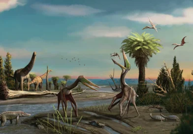 Life reconstruction of a pair of Galgadraco zephyrius gen. et sp. nov. in a late Maastrichtian environment, showcasing the palaeobiota of the Serra da Galga Geosite. Artwork by Matheus Gadelha.